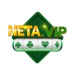 NETA_VIP