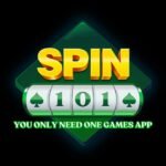 SPIN 101